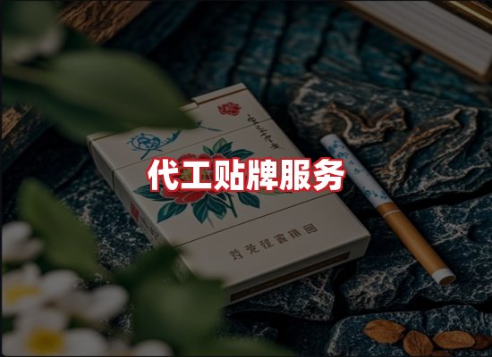 专业团队
